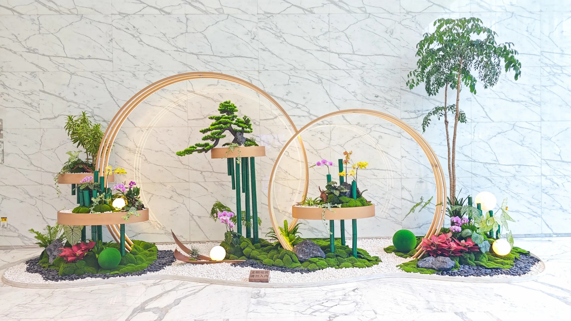 专业前湾盆景租赁,给空间增添别样生机